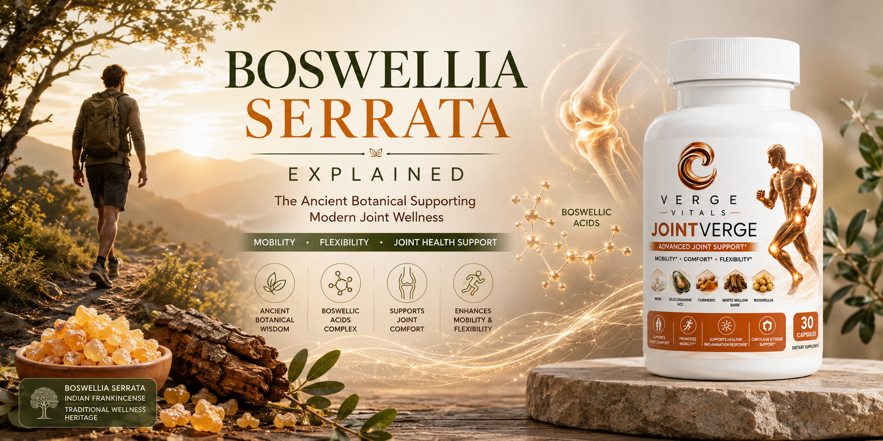 Boswellia Serrata Explained: The Ancient Botanical That Continues to Support Joint Health Today