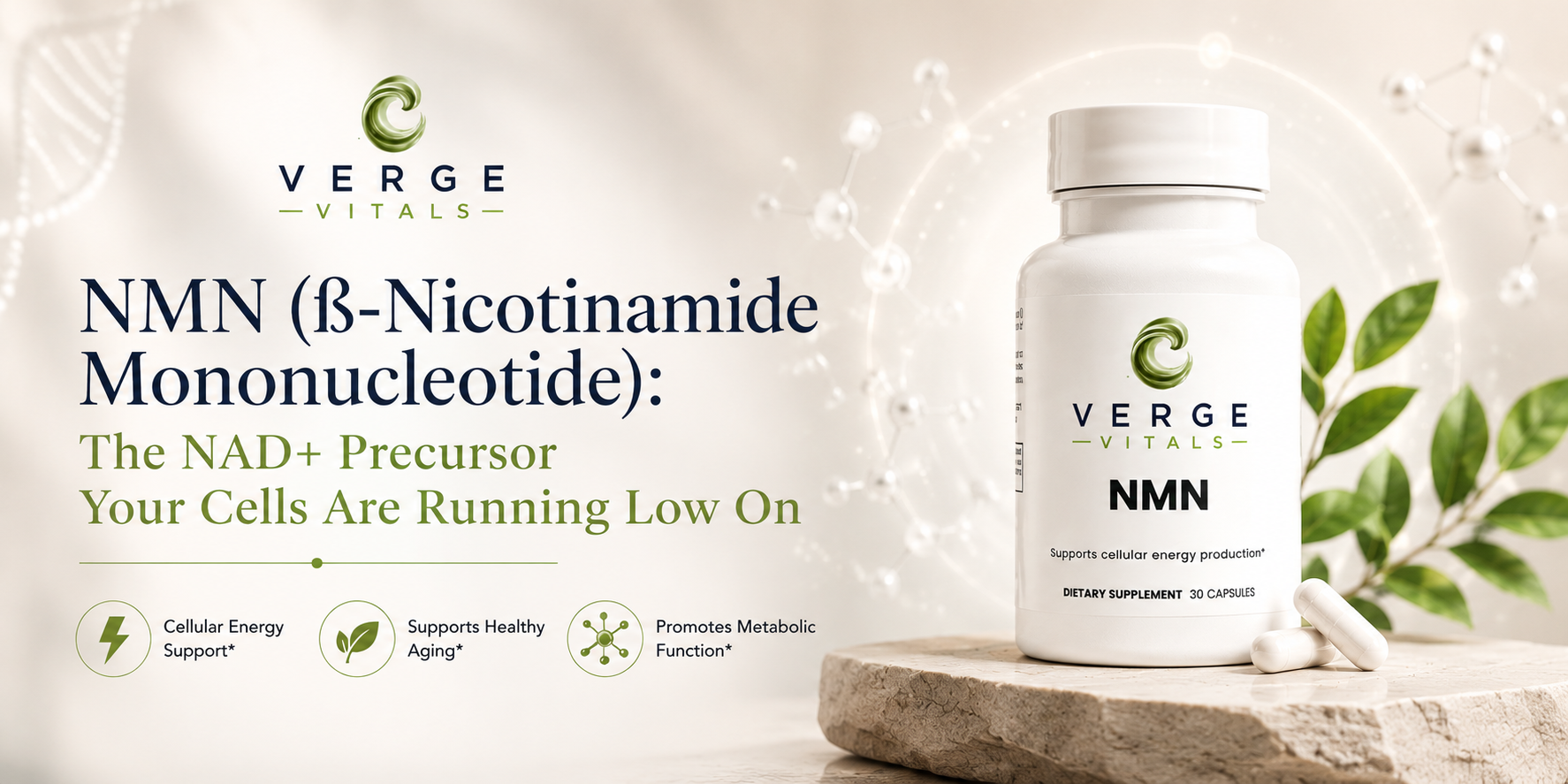 NMN (ß-Nicotinamide Mononucleotide): The NAD+ Precursor Your Cells Are Running Low On