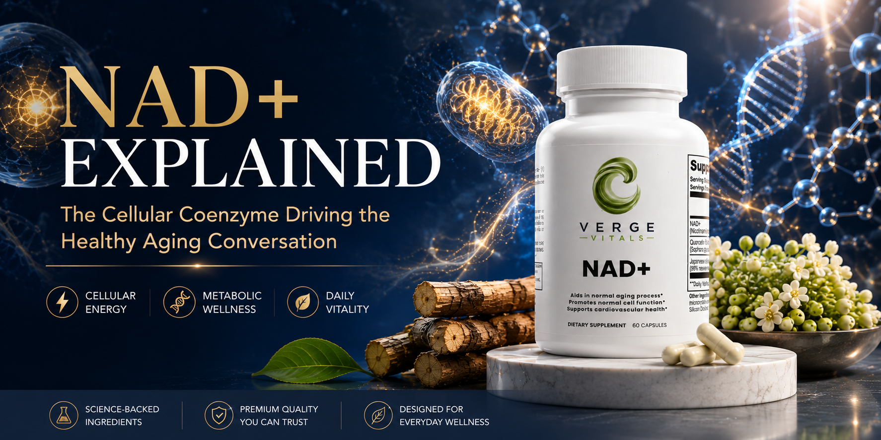 NAD+ Explained: Why This Cellular Coenzyme Is at the Center of the Healthy Aging Conversation