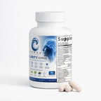 ClarityVerge  Brain & Focus Formula — Mental Clarity, Focus, Memory & Cognitive Support | Nootropic Brain Wellness Supplement | Vitamins, Botanicals & Amino Acids | 60 Capsules
