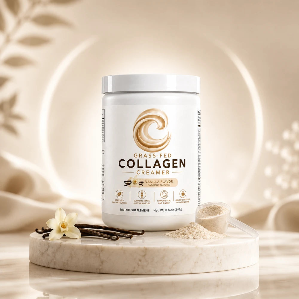 CollagenVerge Grass-Fed Collagen Creamer Vanilla – Collagen Peptides, MCT Oil & Pea Protein Coffee Creamer for Skin, Hair, Nails, Bones & Joint Support – 240g