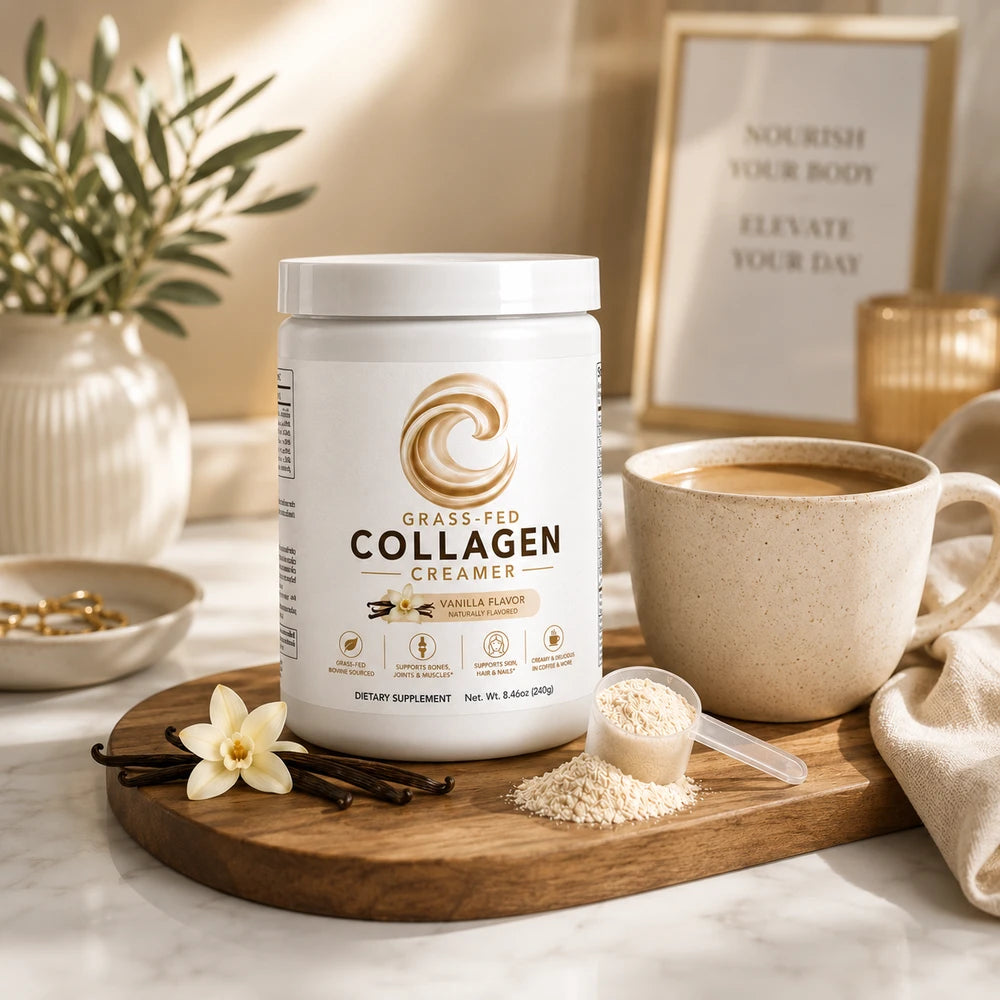 CollagenVerge Grass-Fed Collagen Creamer Vanilla – Collagen Peptides, MCT Oil & Pea Protein Coffee Creamer for Skin, Hair, Nails, Bones & Joint Support – 240g