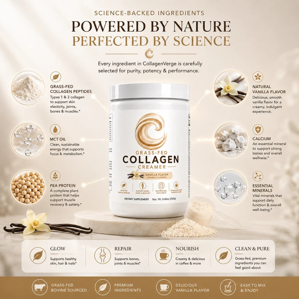CollagenVerge Grass-Fed Collagen Creamer Vanilla – Collagen Peptides, MCT Oil & Pea Protein Coffee Creamer for Skin, Hair, Nails, Bones & Joint Support – 240g